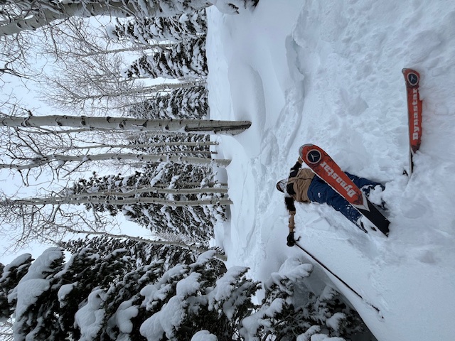 ski image
